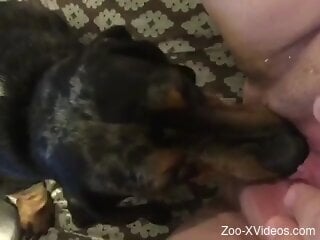 Nude female enjoys dog licking her muff and ass