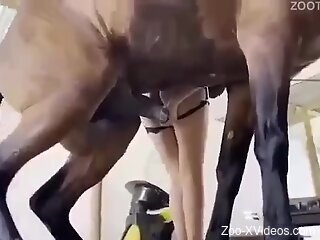 Aroused beauty lands horse's giant cock in her wet cunt