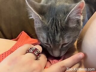 Cat licks woman's wet pussy in ways that make her come