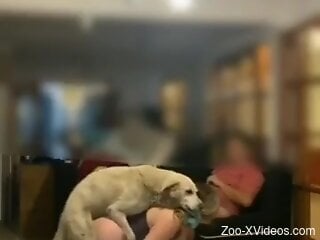 Dog makes horny blonde woman feel perfect and slutty