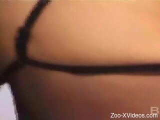 amateur in black stockings home fucked by the dog and soaked i...