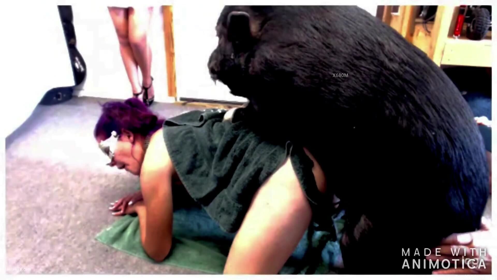zoosex boar Homemade zoo porn featuring the black boar and horny slut