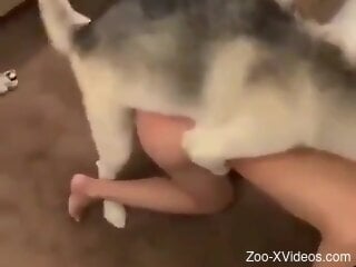 Naked woman doggy style fucked on cam by her furry dog