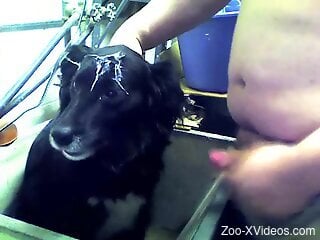 Naked old guy tries to stick his erect dick in the dog's mouth