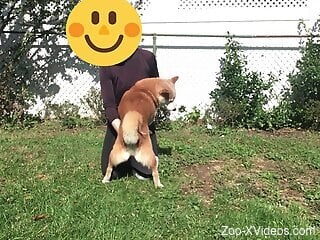 Small furry dog makes clothed amateur man crave sex with it