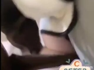 Insolent woman lets curious dog lick her muff in homemade solo