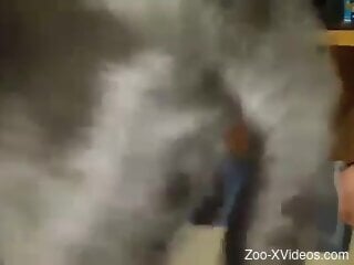 Clothed slut licked and fucked by her dog in ruthless kinks