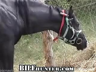 Tight woman gets fucked in hardcore zoophilia fetishes