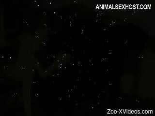 Black dog makes redhead wanna swallow the sperm