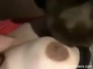 Amateur with nice tits shares webcam zoophilia moments