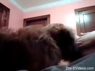 Sexy woman lets curious dog sniff and lick her wet cunt