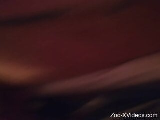 Flaming woman feels dog's entire cock smashing her succulent muff