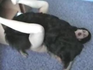 Zoo-Porn