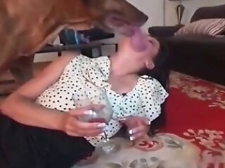 Animal porn and bestiality