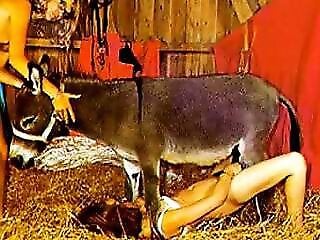 Zoo Zoo Sex Porn