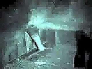 Sex animal video