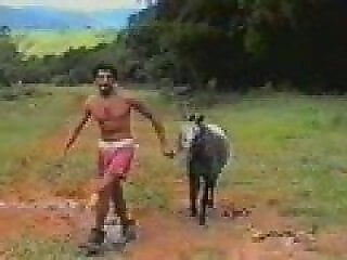 Zoo porn and zoo sex video